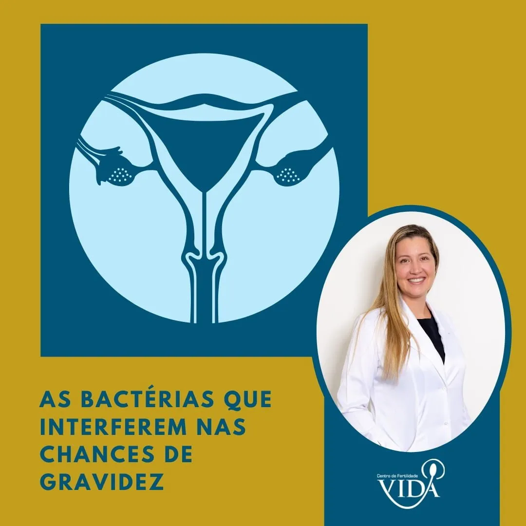 As bactérias que interferem nas chances de gravidez » Vida - Centro de  Fertilidade