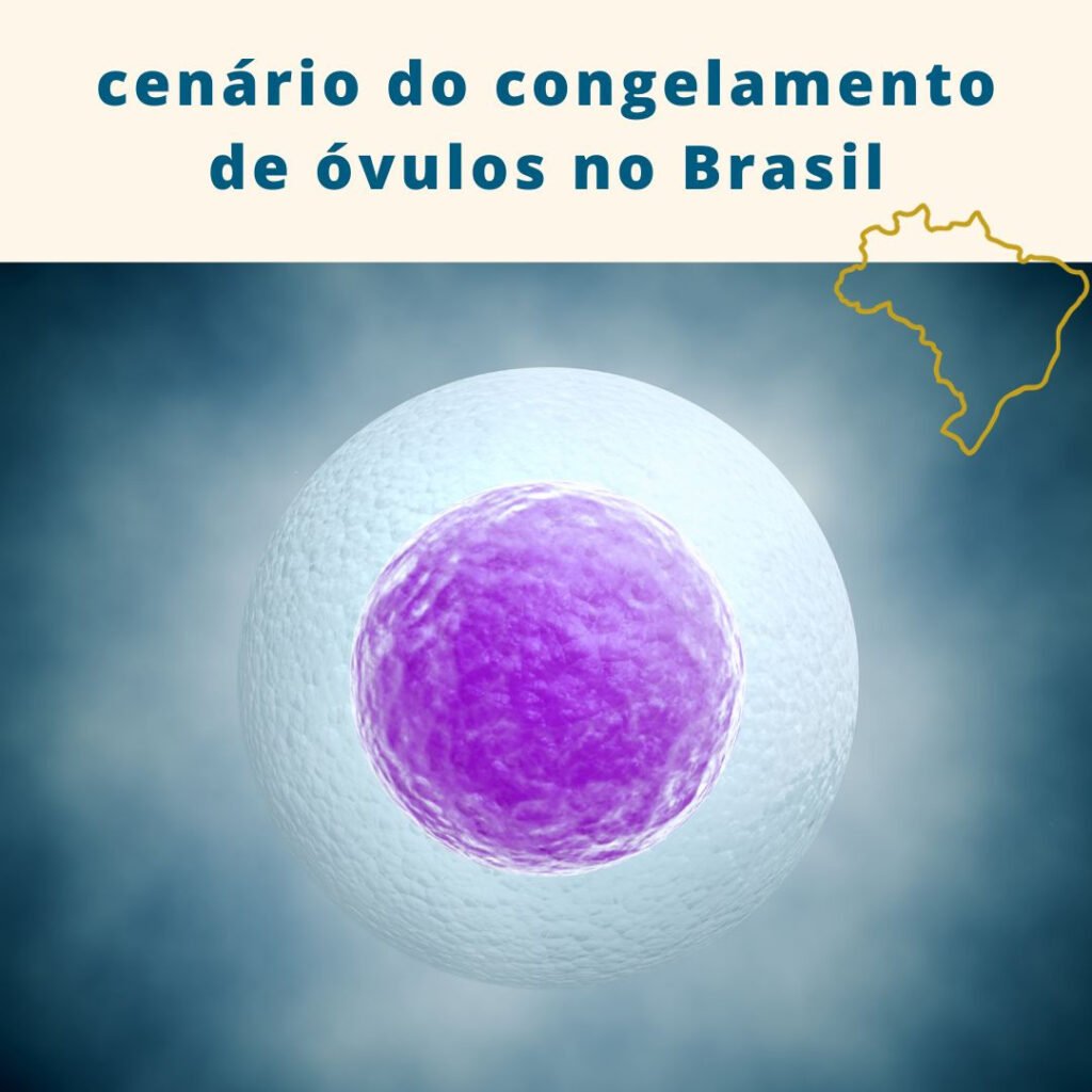 Cenário Atual Sobre Congelamento de Óvulos No Brasil