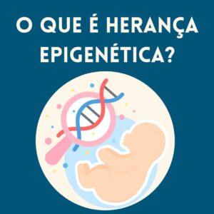 O Que é Herança Epigenética