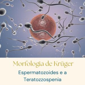 Morfologia de Krüger