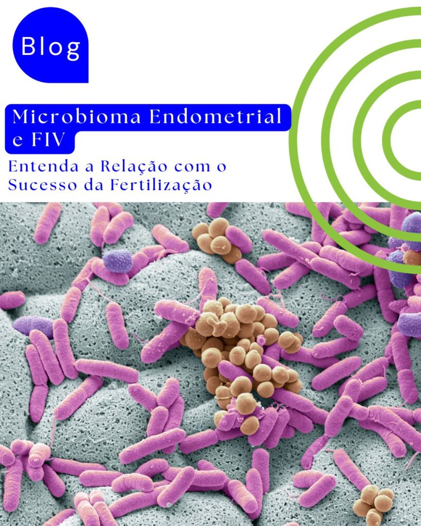 Microbioma Endometrial